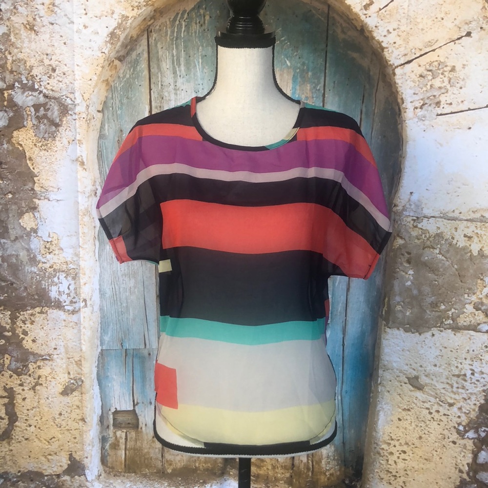 Singwing Size 10 Multicolor Sheer Top
